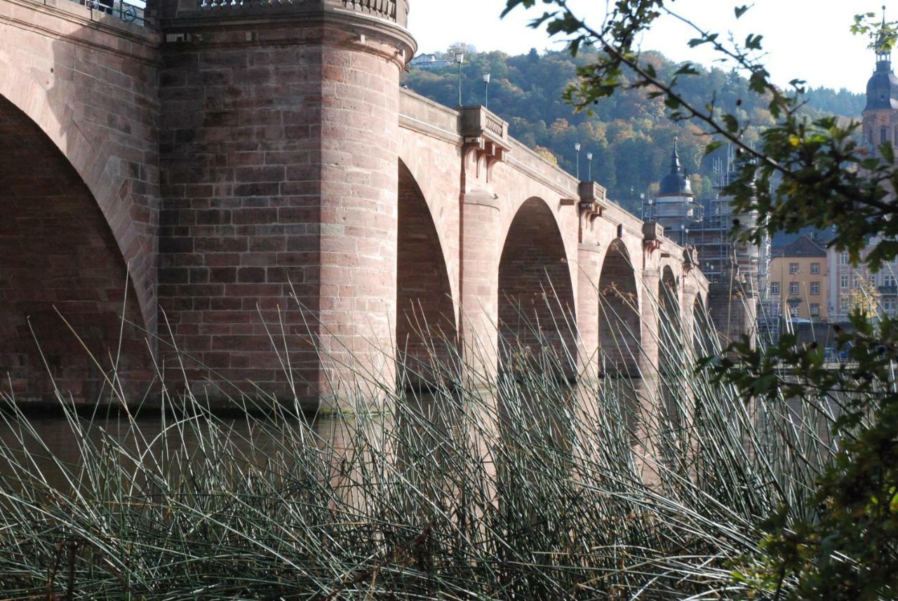 Am Berggarten Heidelberg Exterior photo